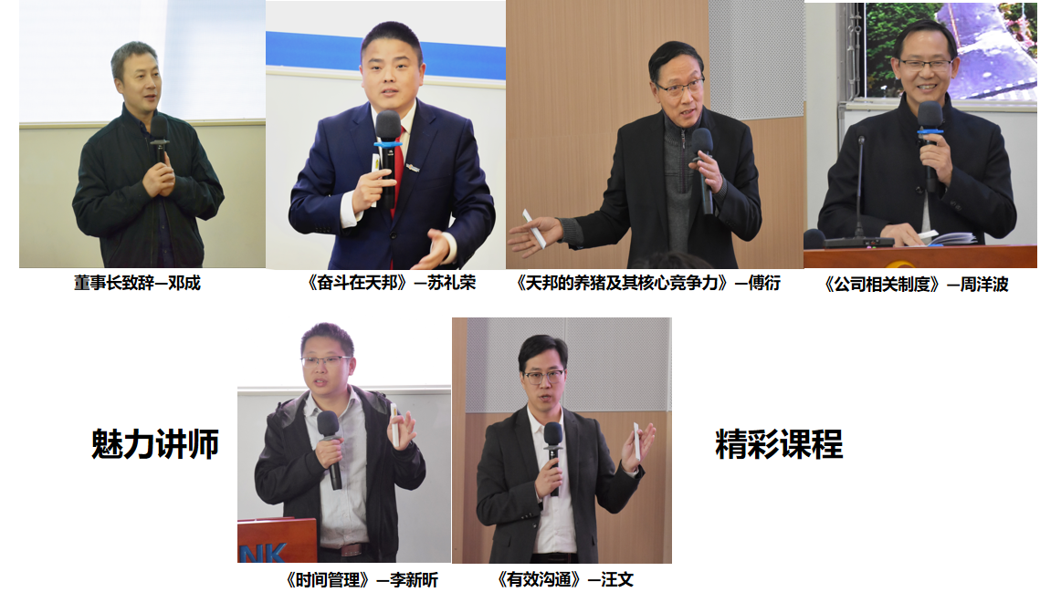 一个尊龙凯时 (1).png